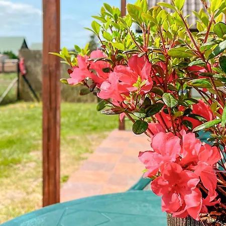 Сasa de vacaciones Amazing In Podamirowo