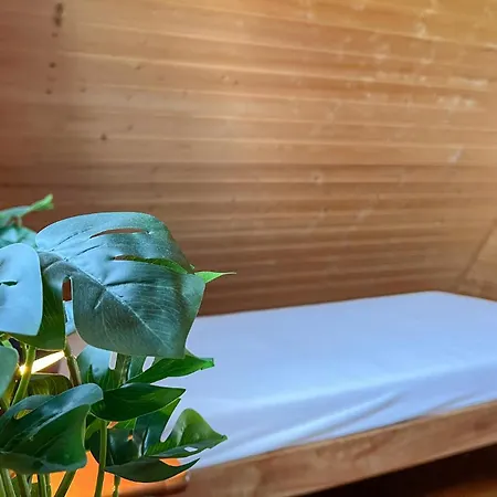 Amazing In * Podamirowo