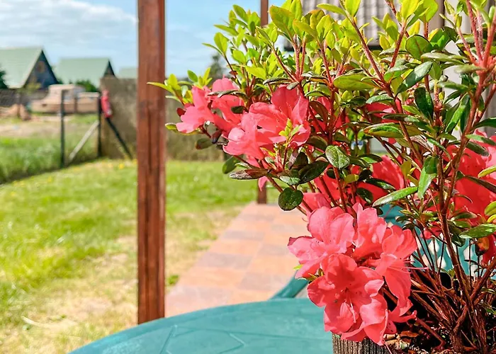 בית נופש Amazing In Podamirowo