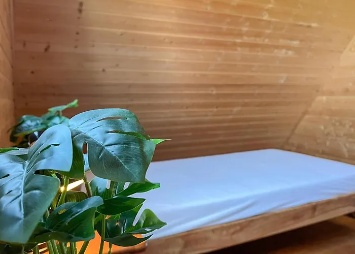 Amazing In * Podamirowo